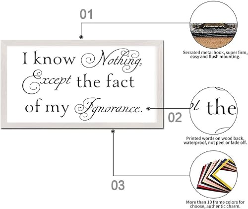 Vista 59 de Letrero enmarcado de madera con frases inspiradoras con versículo bíblico, con texto en inglés "I Still Remember the Days I Prayed for the Things I
