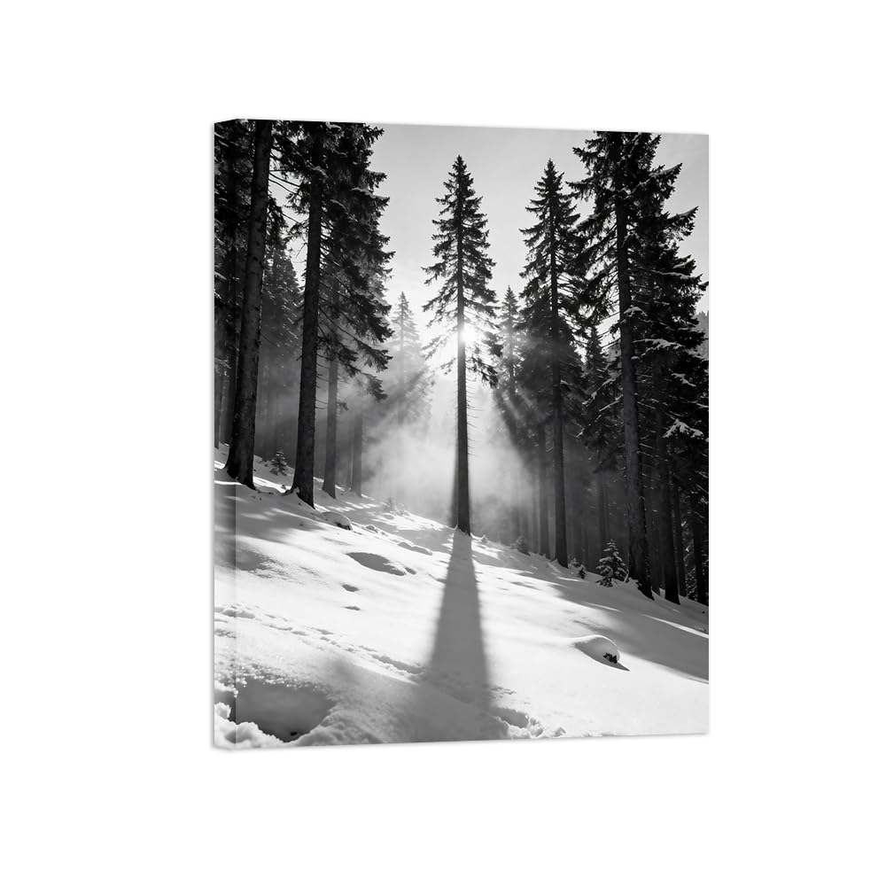 Black White Landscape Wall Art. Winter Tree. Picture 50x65cm Unframed