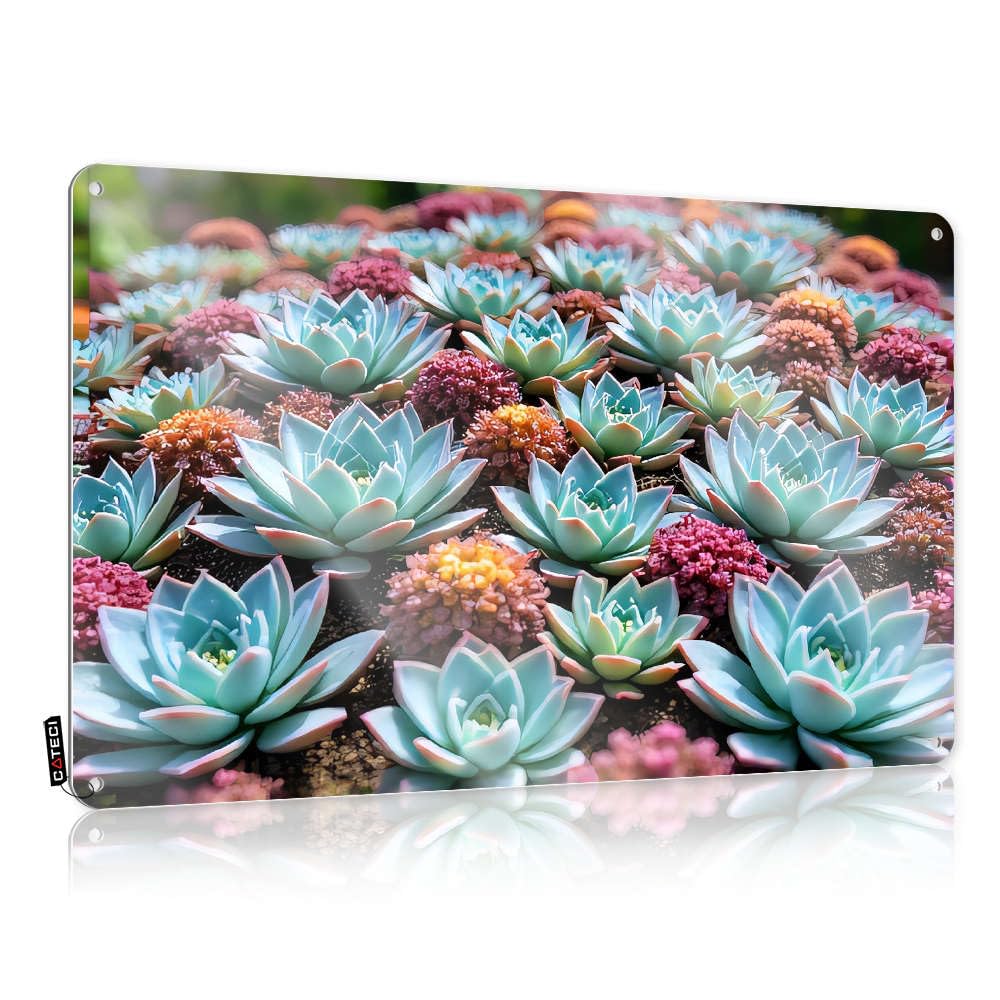 Plaque Scandinavian Decaor Birthday Gift A Vibrant Garden Of Succulents In Shades Of Blue And Pink. - Vintage Wall Decor For Shop(30X40CM)