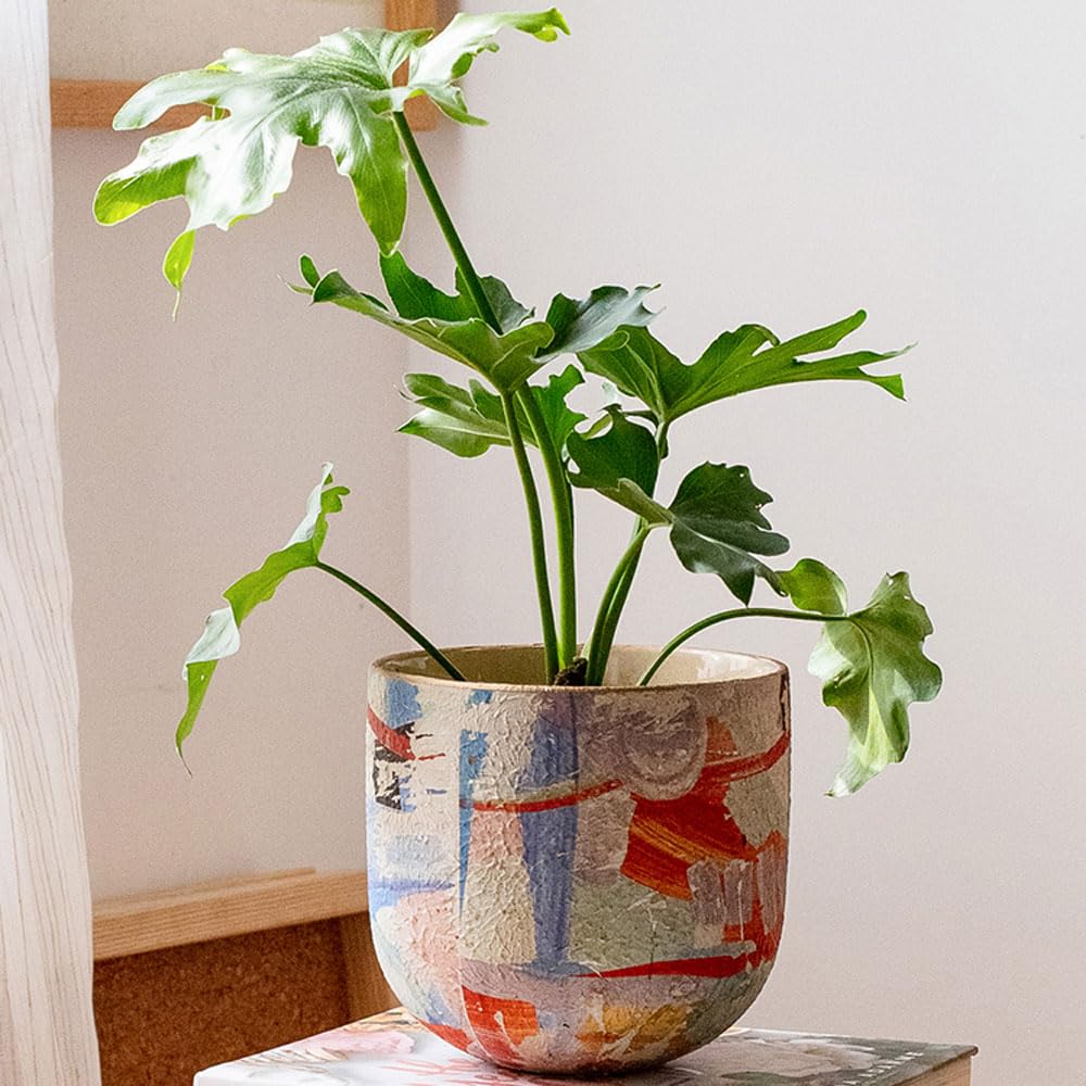 Dekoracje Do Doniczek Z Roślinami Hydroponicznymi, Ceramiczna Doniczka, Ceramiczna Doniczka Narcyzowa, Miska Do Sadzenia Żonkili, Amerykańska Doniczka Botaniczna, Ceramic