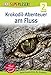 SUPERLESER! Krokodil-Abenteuer am Fluss: 2. Lesestufe Sach-Geschichten für Erstleser