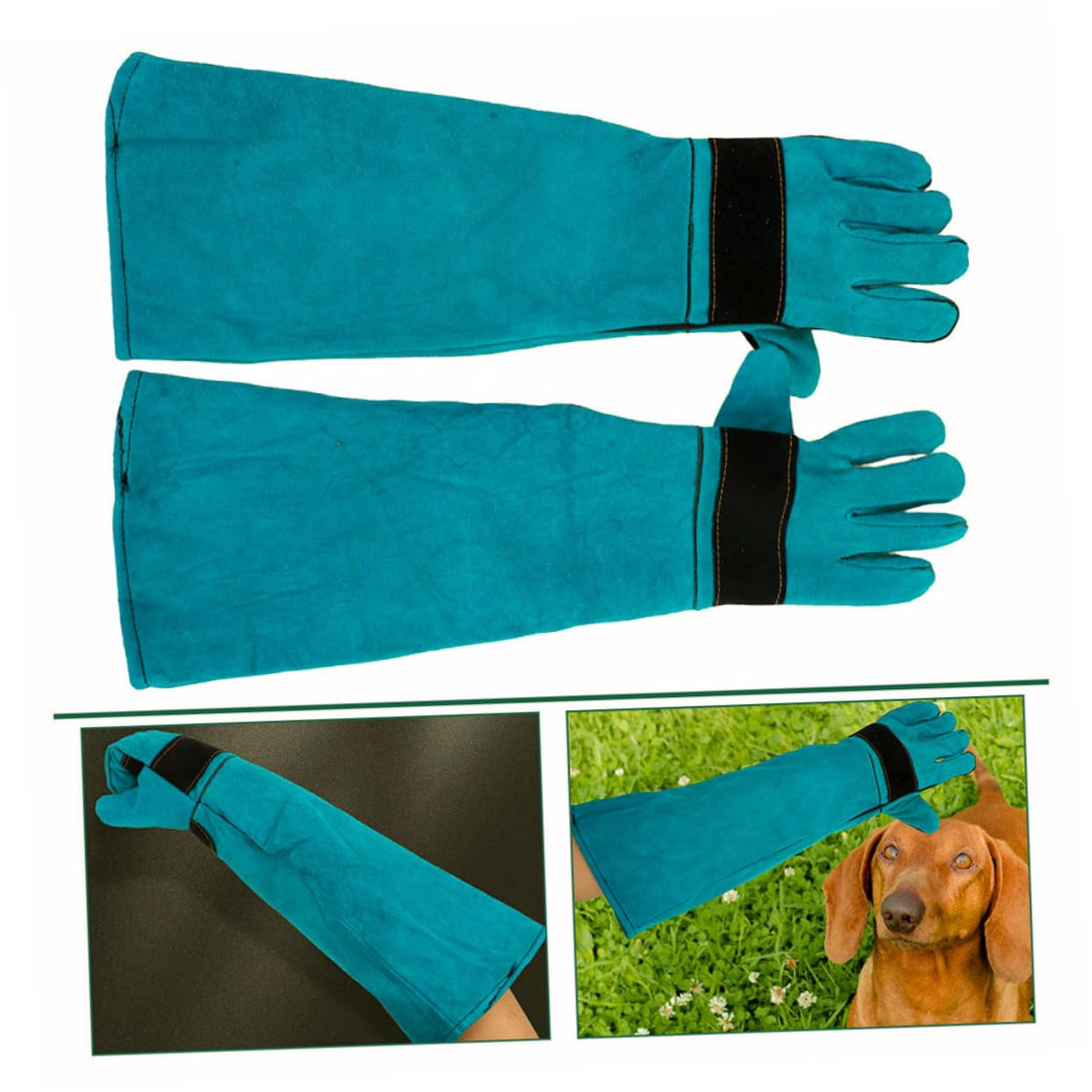 Toyvian Guanti Antimorso per Animali in Similpelle per Toelettatura e Manipolazione Maniche Lunghe per Alimentazione e Bagno degli Animali Blu
