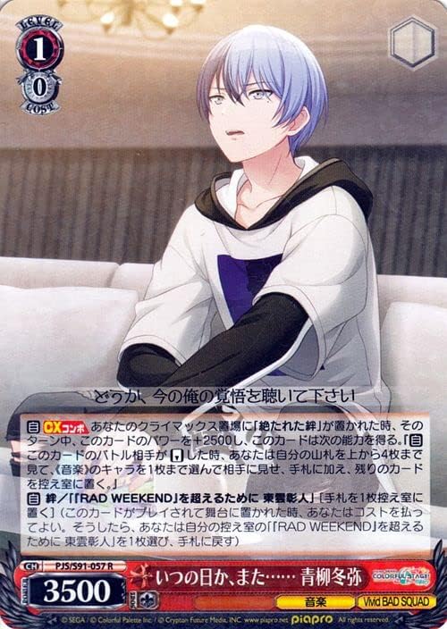 送料無料(一部地域を除く) プロセカ r ヴァイス まとめ売り general