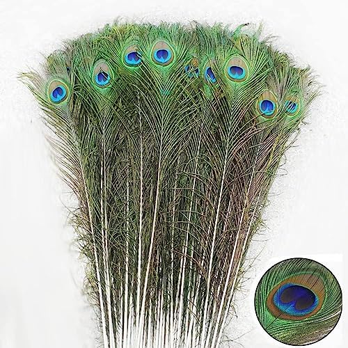 30pcs 30-35inch Peacock Feathers Decoration Crafts Bulk Multicolored Natural Peacock Feathers for DIY Craft, Easter Decoration Flower Arrangement and Home Decoration