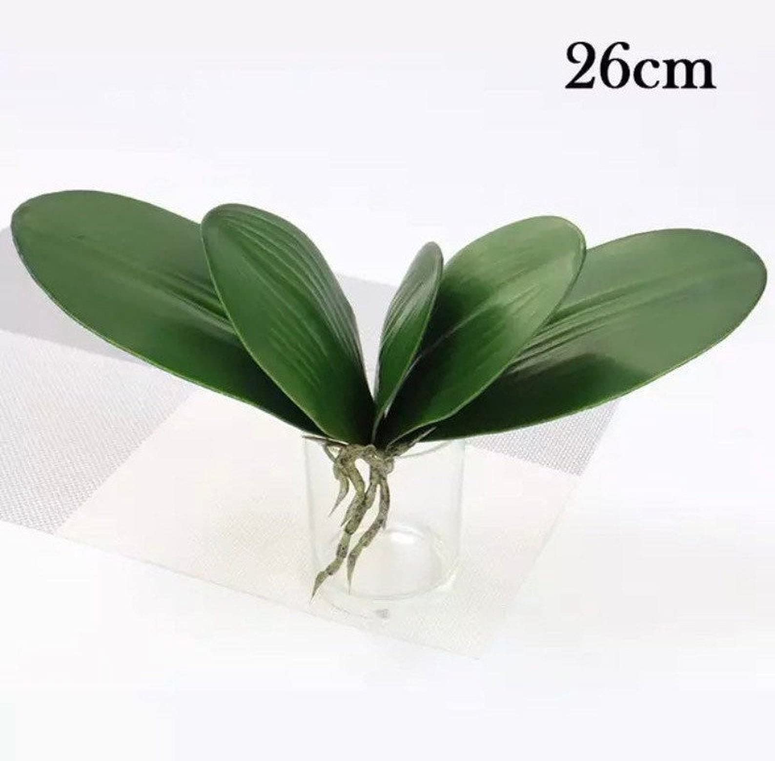 wasserspeicher blumenkasten Blumenkasten / Balkonkasten mit Wasserspeicher ca. 60 cm aus hochwerti – La  Casa main image 0