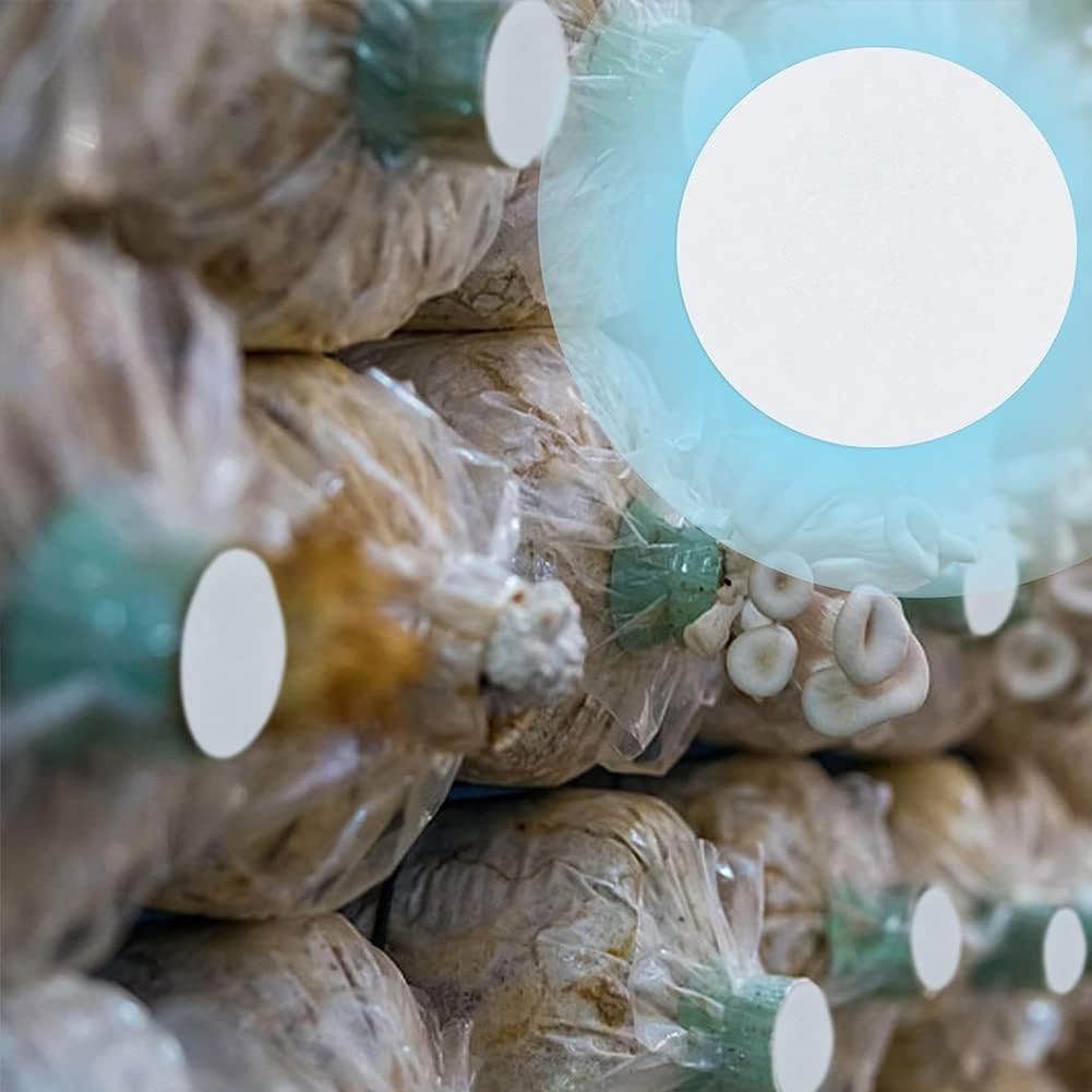 Gelatine Vegetale Papier Filtre Quantitatif 56mm - Lot De 100, Sans Cendre,  Pour Entonnoir Buchner Disque Filtre, image size:1001x1001