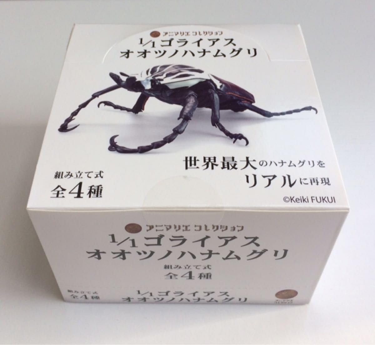 Amazon.co.jp: アニマリエコレクション 1/1 ゴライアスオオツノ