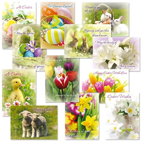 Easter Photo Greeting Cards Value Pack - Set of 12 Large 5