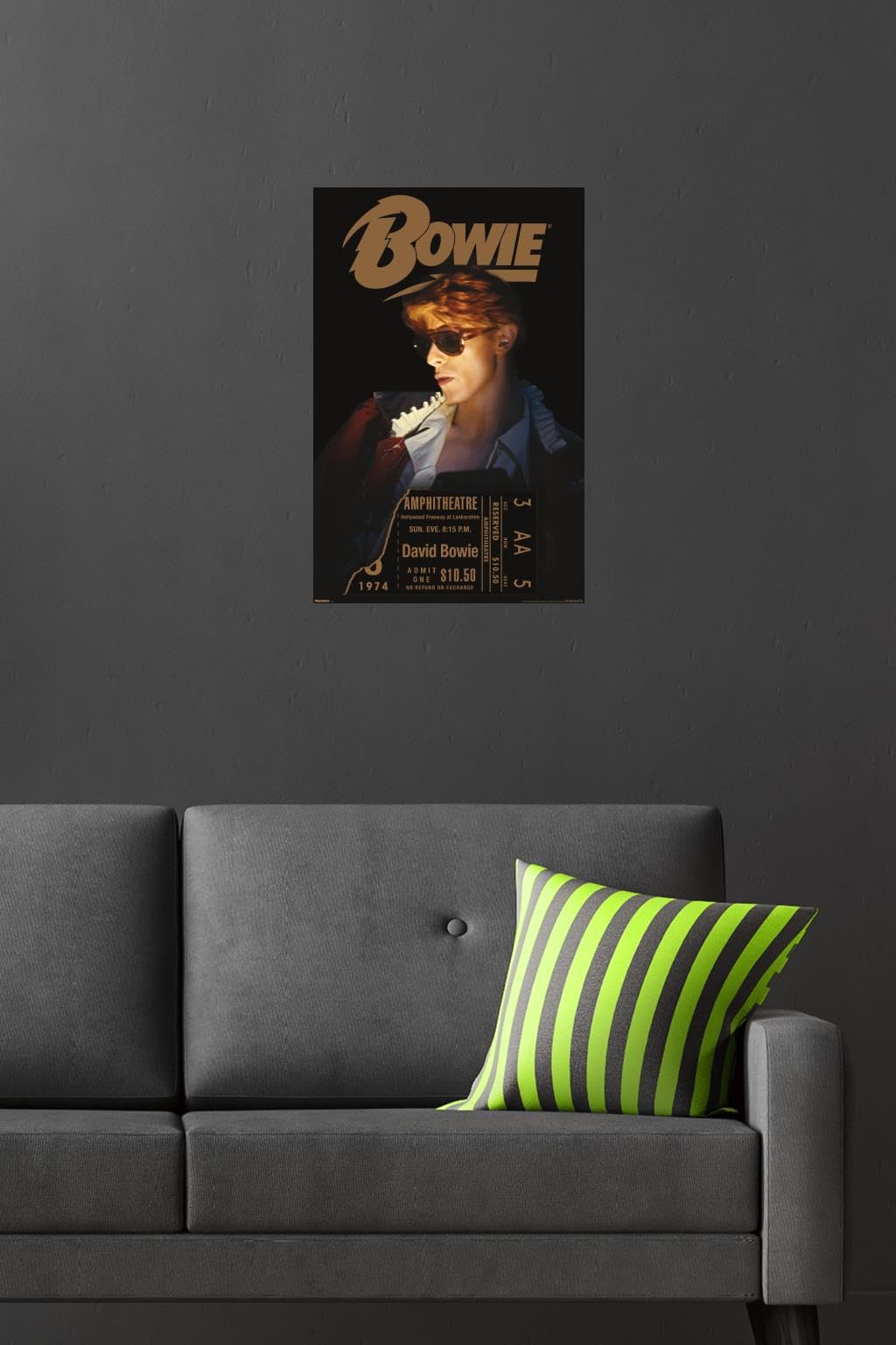 Amazon.com: David Bowie - Diamond Dogs LA Tour 1974 Wall Poster