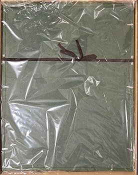 Amazon.co.jp: 大乙嫁語り展 複製原画 アニス シーリーン 森薫