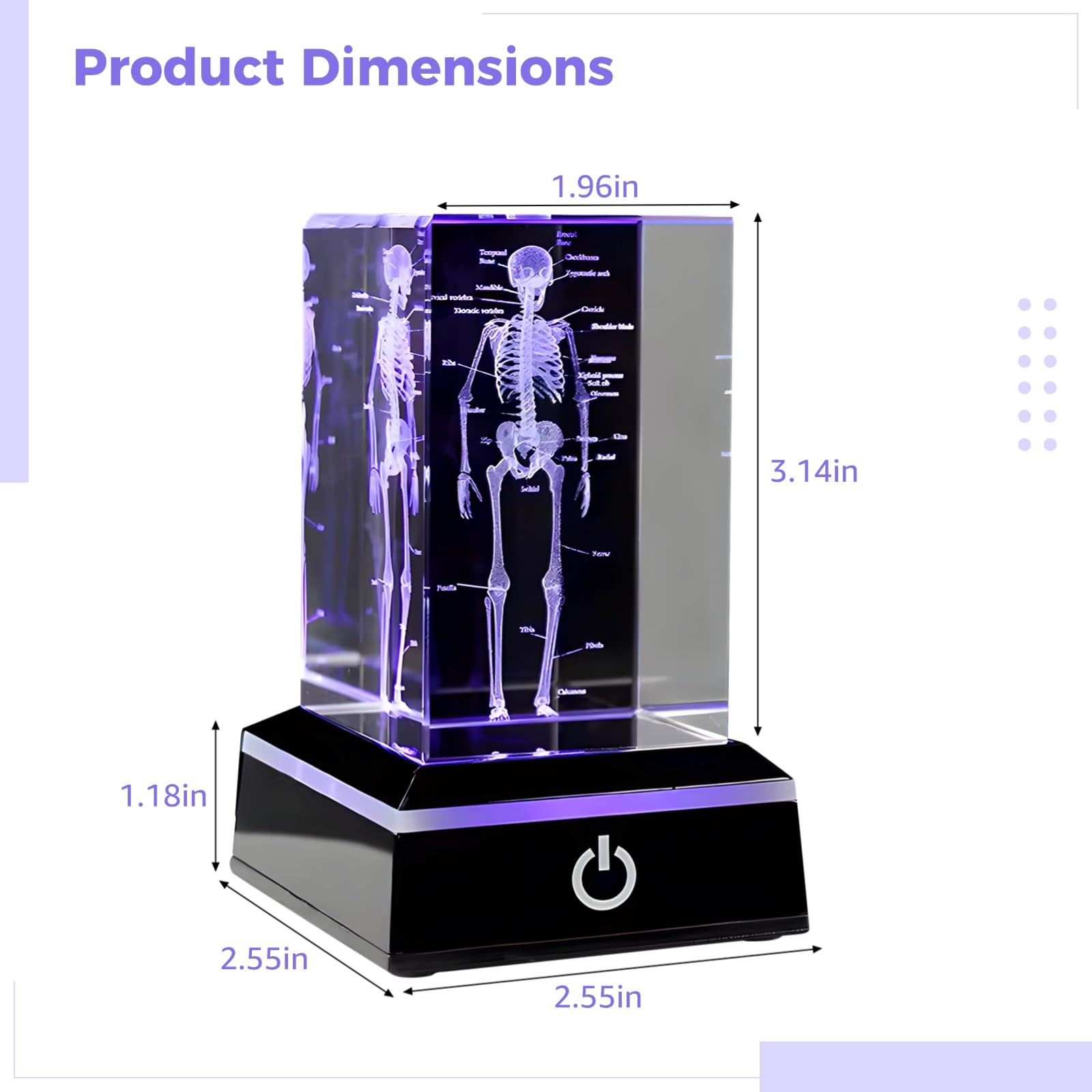 Esqueleto de cristal 3D con luz LED, modelo de anatomía humana, figura de esqueleto de cristal, ideal para graduados de ciencia y medicina
