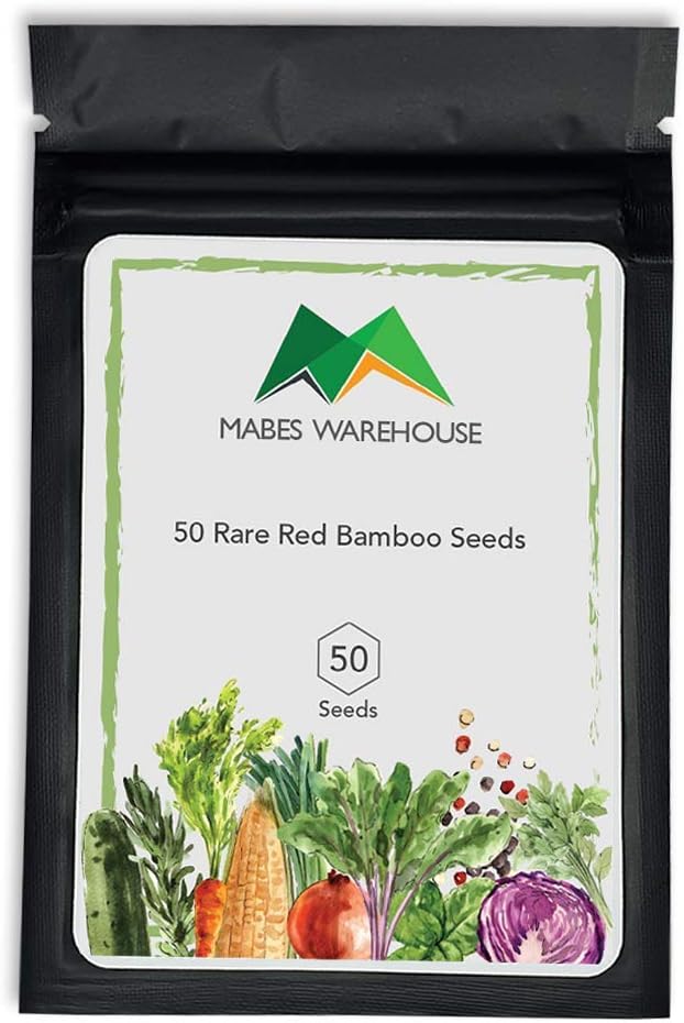 MABES WAREHOUSE 50 Rare Red Bamboo Seeds Privacy Plant Garden Clumping Exotic Shade Screen - Fast Growing Trees for Privacy Red Screen, Clumping Outdoor Bamboo Plant Seeds for Planting