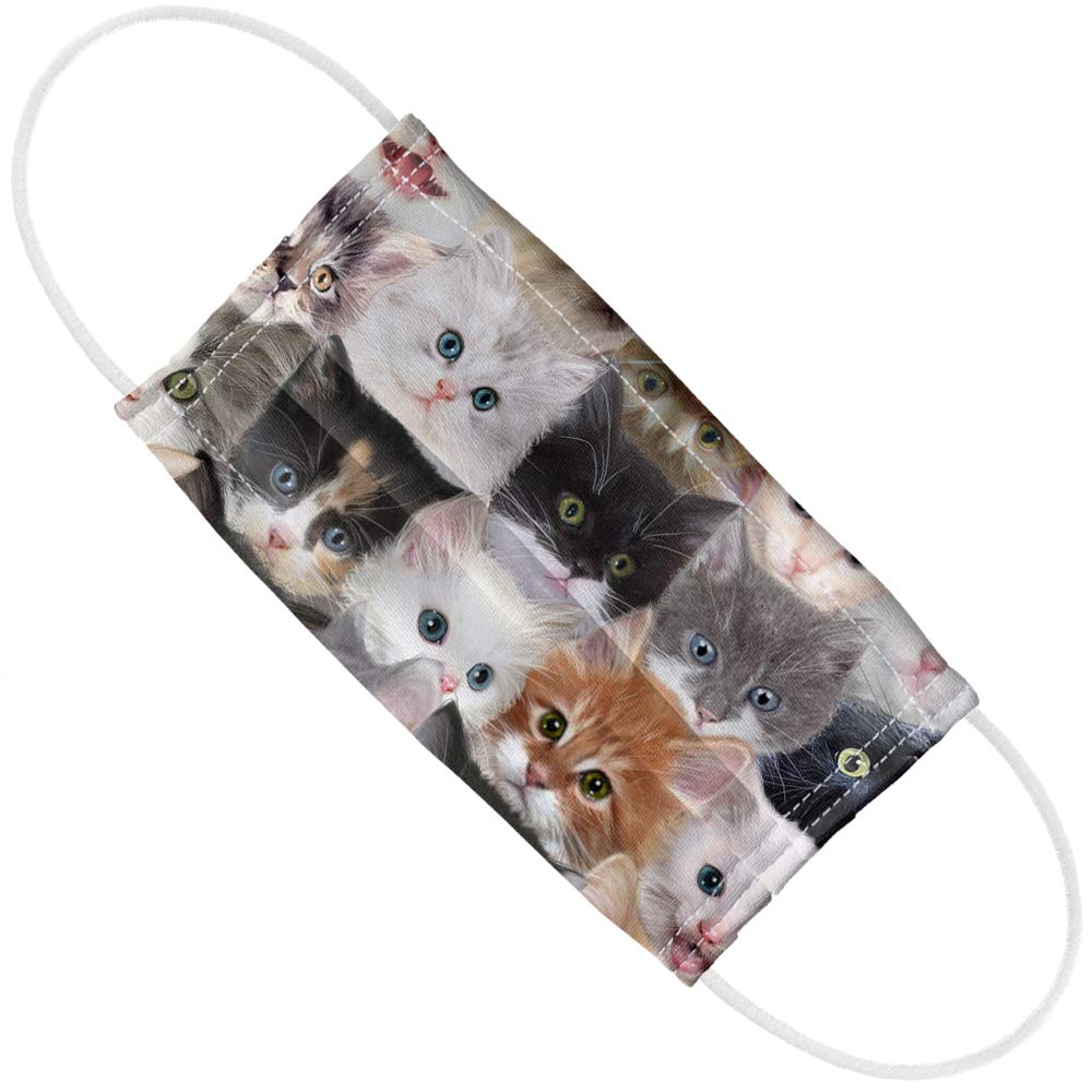 Popfunk Cats And Kittens 1-Ply Reusable Face Mask Covering with Adjustable Nose Wire, Unisex