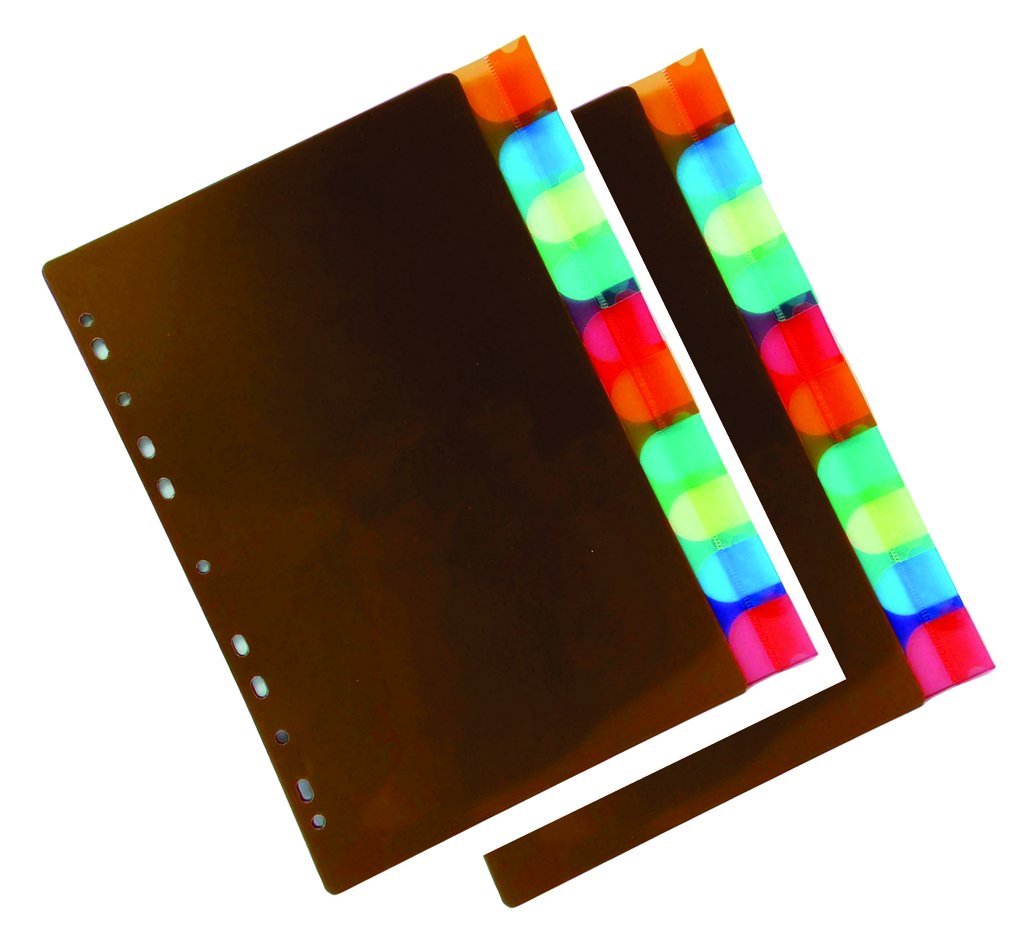 Plastic Separator 10 Leaves in a set ( 2 Sets Pack) Amazon.in Office