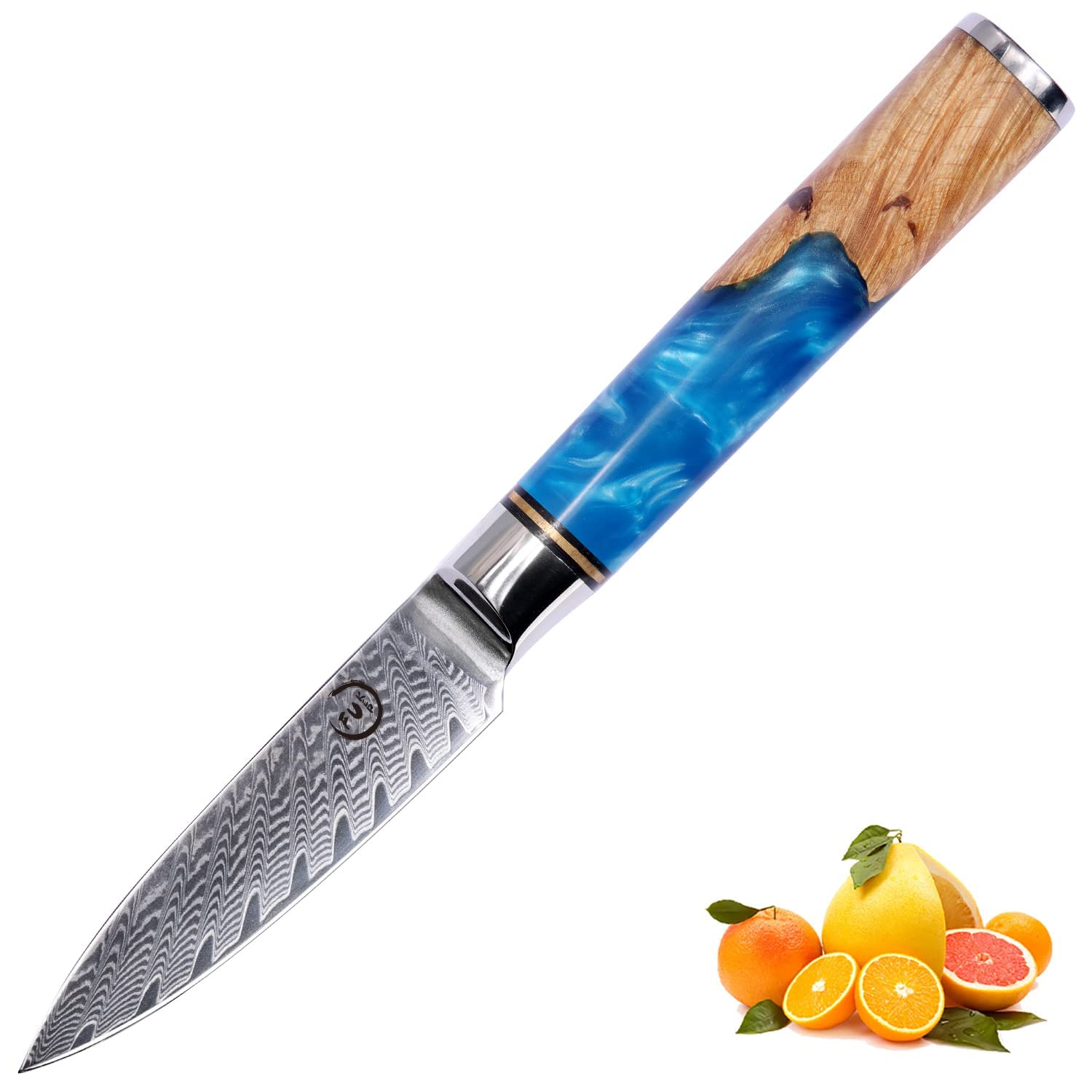 Paring Knife 3.5 Inch Damascus Paring Knife Small Fruit Knife Ultra Sharp Damascus VG10 Core Steel with 66 Layers High Carbon Steel Classical Pattern Blue Handle Unique Gifts with Gift Box