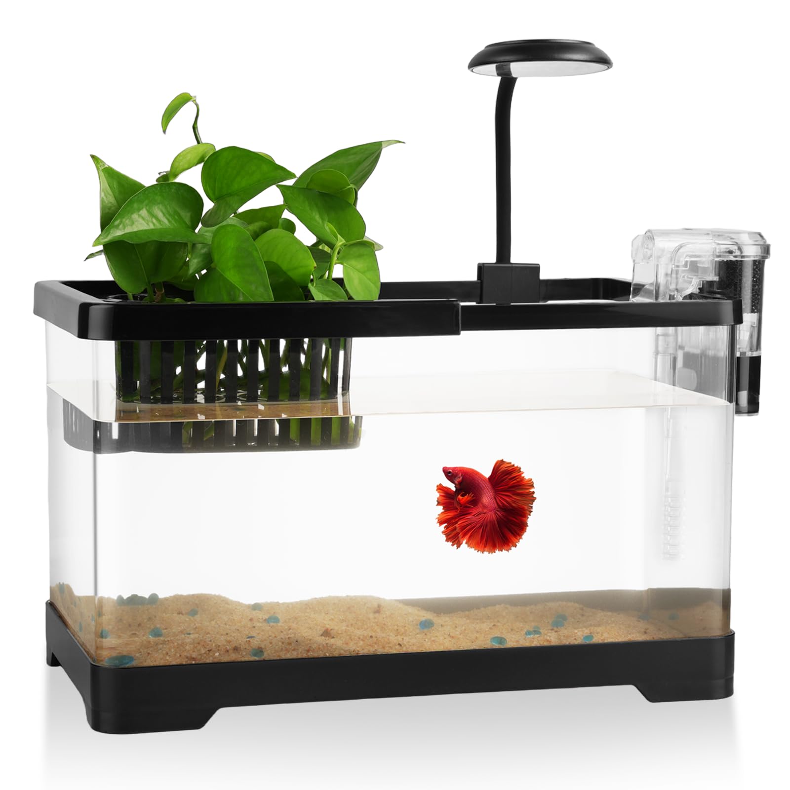 1.8 Gallon Beta Fish Tank Aquariums Kits - Clear Small Fish Bowl Starter Kit with LED Light, Water Filter Pump, Hydroponic Basket - Beginner's Gift