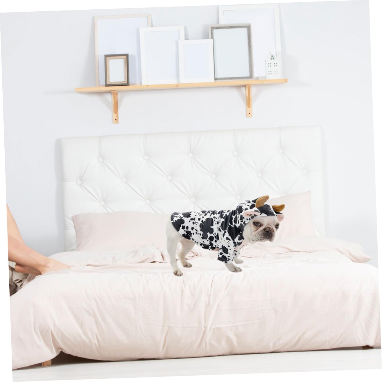 Costume Pet Per Abbigliamento Decorativo Per Speciali e Vestiti Caldi e Confortevoli Per Animali Domestici