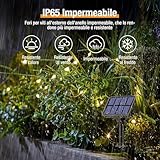 btfarm B0BQYWHBSP lato 3