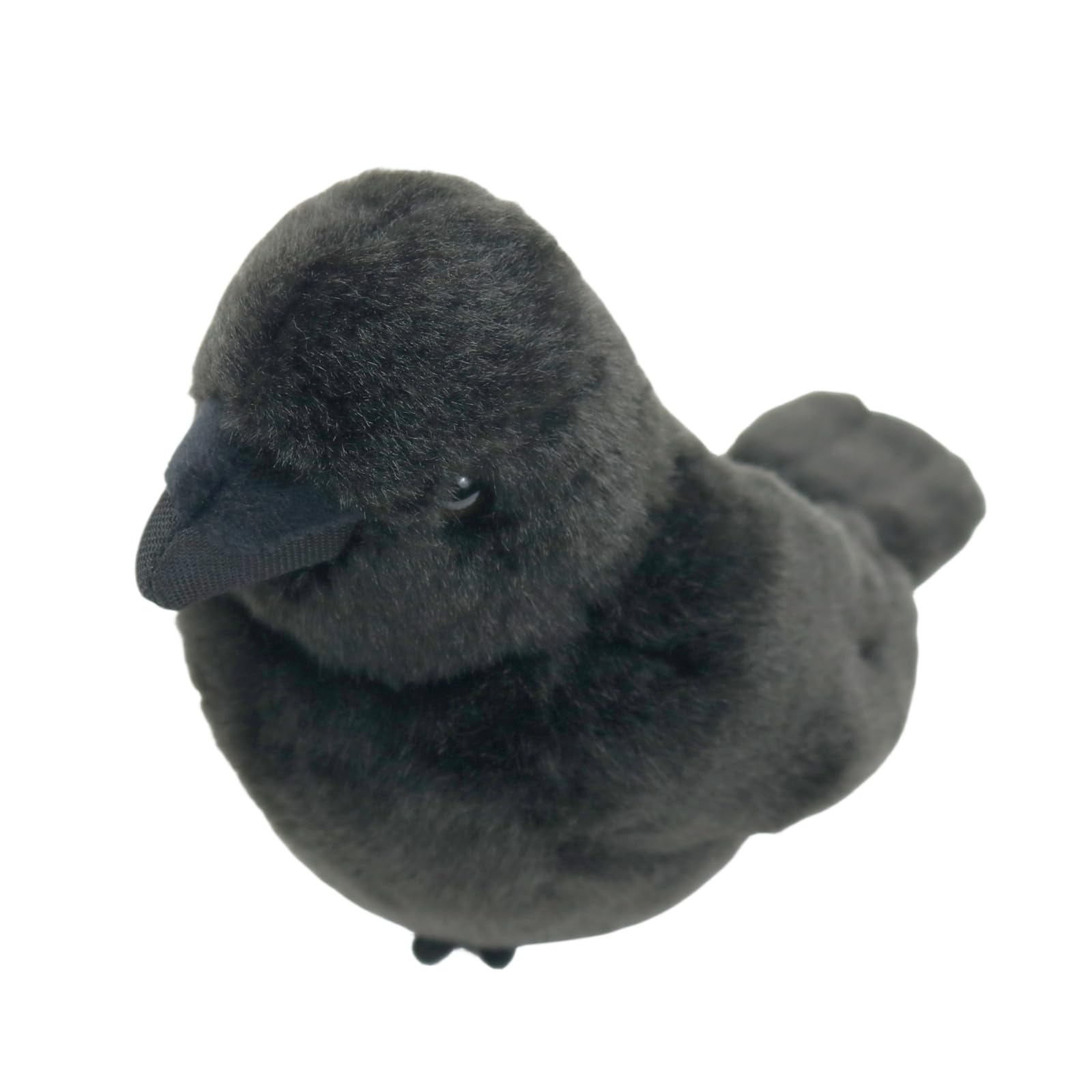 Amazon.co.jp: カラスのぬいぐるみ リアルなカラスのぬいぐるみ