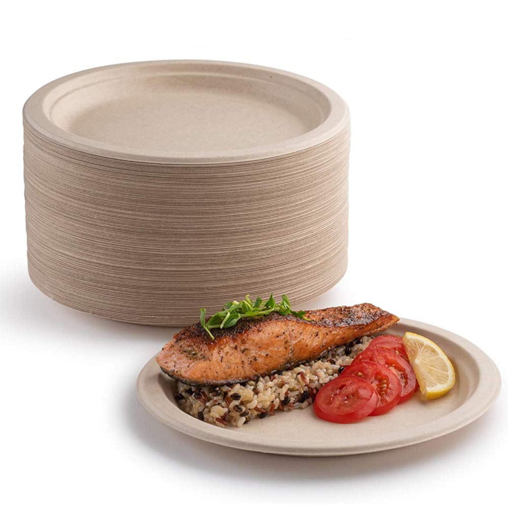 100 platos de papel súper rígidos, 100% biodegradables y compostables, respetuoso con el medio ambiente, resistente y reciclable, perfecto para barbacoas de picnic (10 pulgadas)