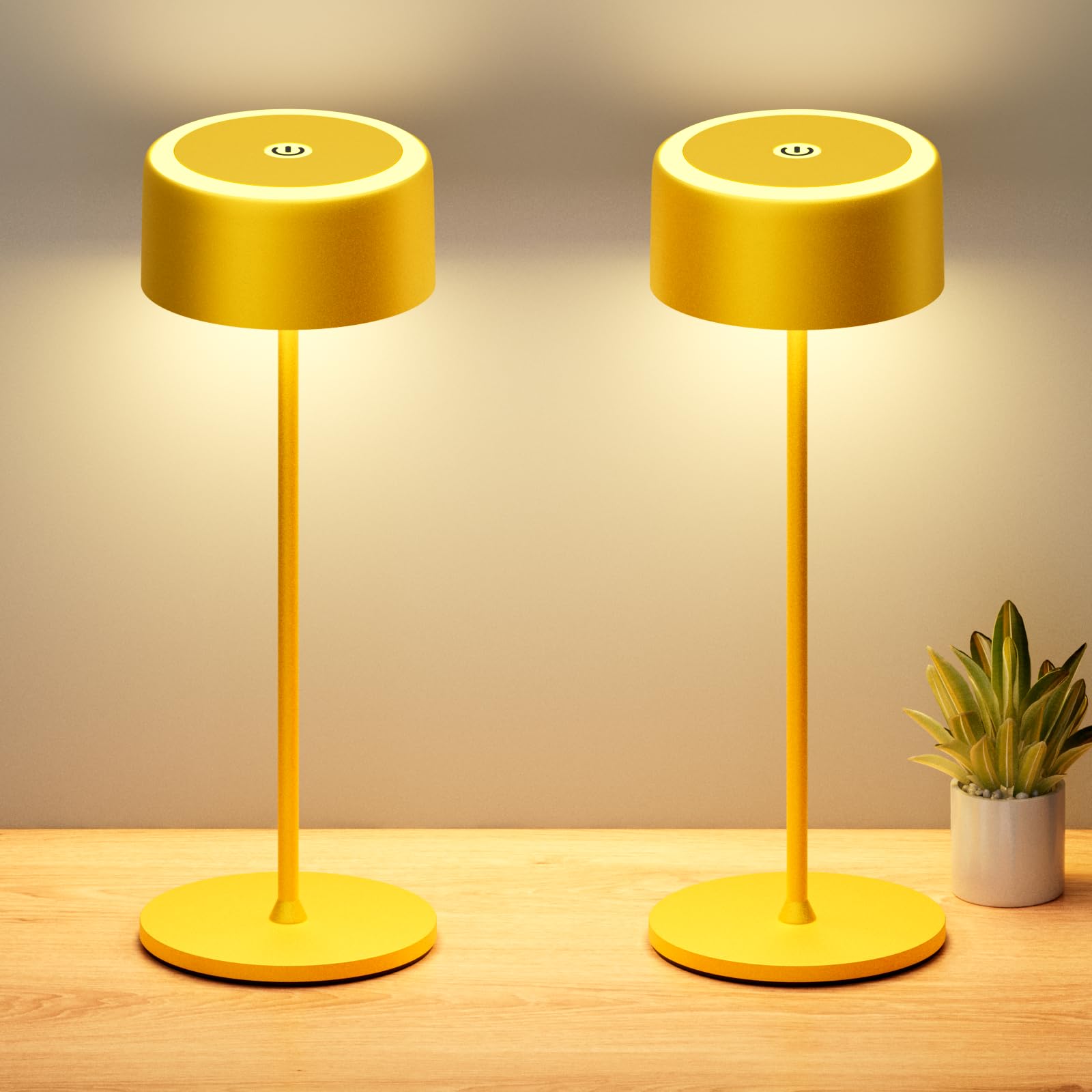 TYEE Rechargeable Cordless Table Lamp, Portable Dimmable LED Desk Light 3000-6000K