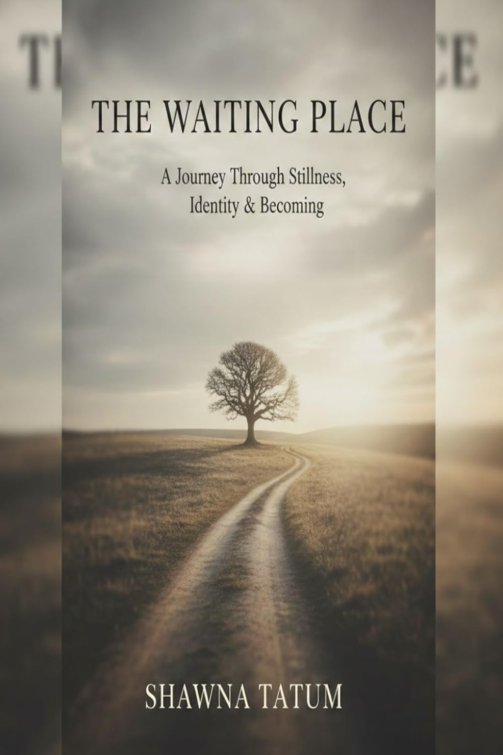 The Waiting Place™: A Journey Through Stillness, Identity & Becoming