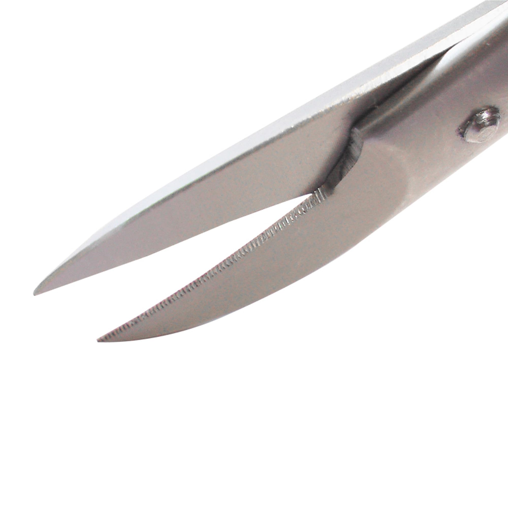 REMOS Tijeras de uñas de pie con forma de pico de acero inoxidable 10,5 cm
