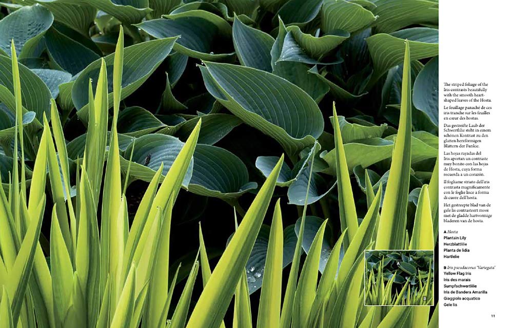Botanical Inspirations: 1000 Ideas for Planting Your Garden / 1000 Ideen fur die Bepflanzung deines Gartens / 1000 Ideas Para Plantar tu Jardin