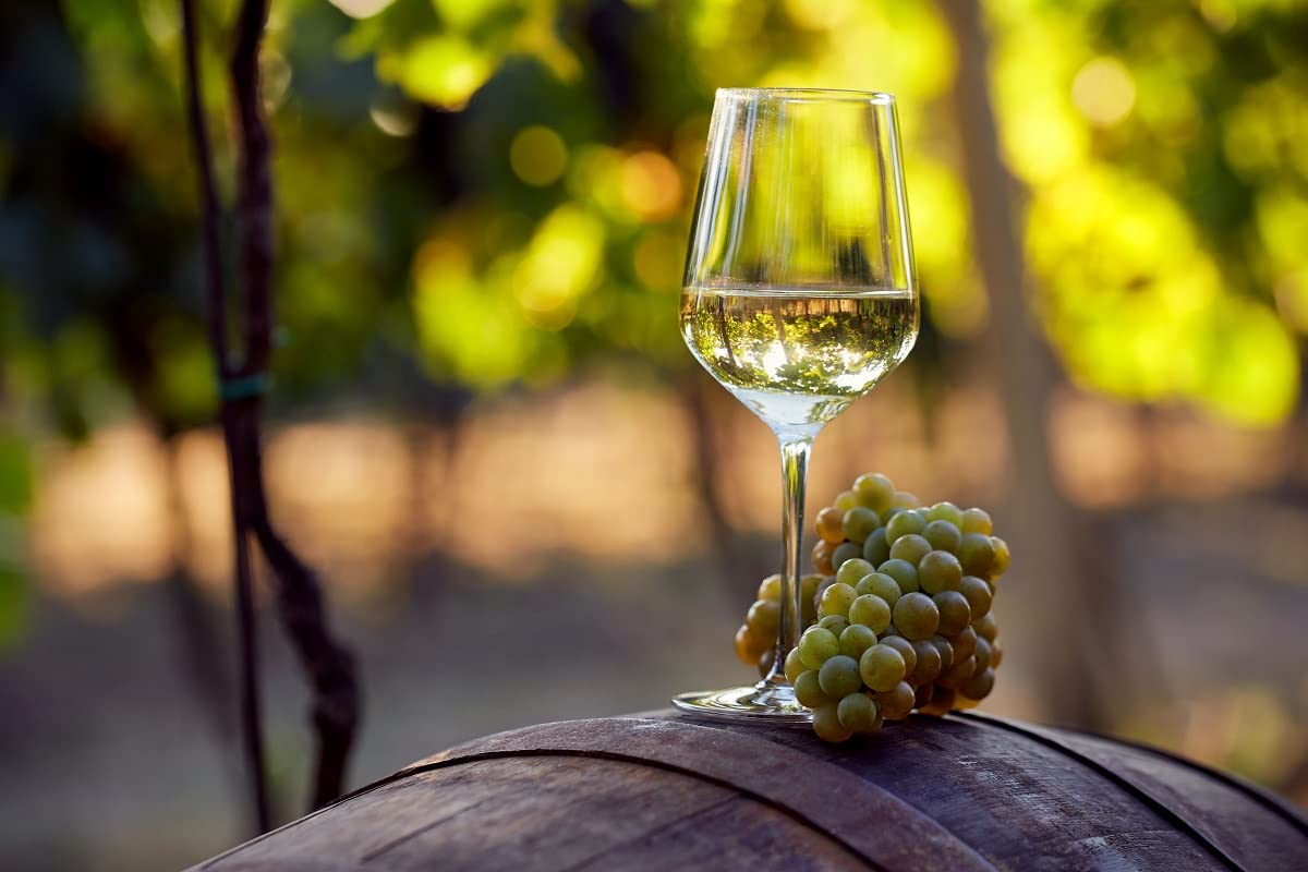 Confezione Vino Bianco - I BIANCHI D’ITALIA - 3 Bottiglie da 0,75 Cl - 1x Sauvignon Blanc IGT - 1x Falanghina del Sannio DOP - 1x Verdicchio dei Castelli di Jesi DOC