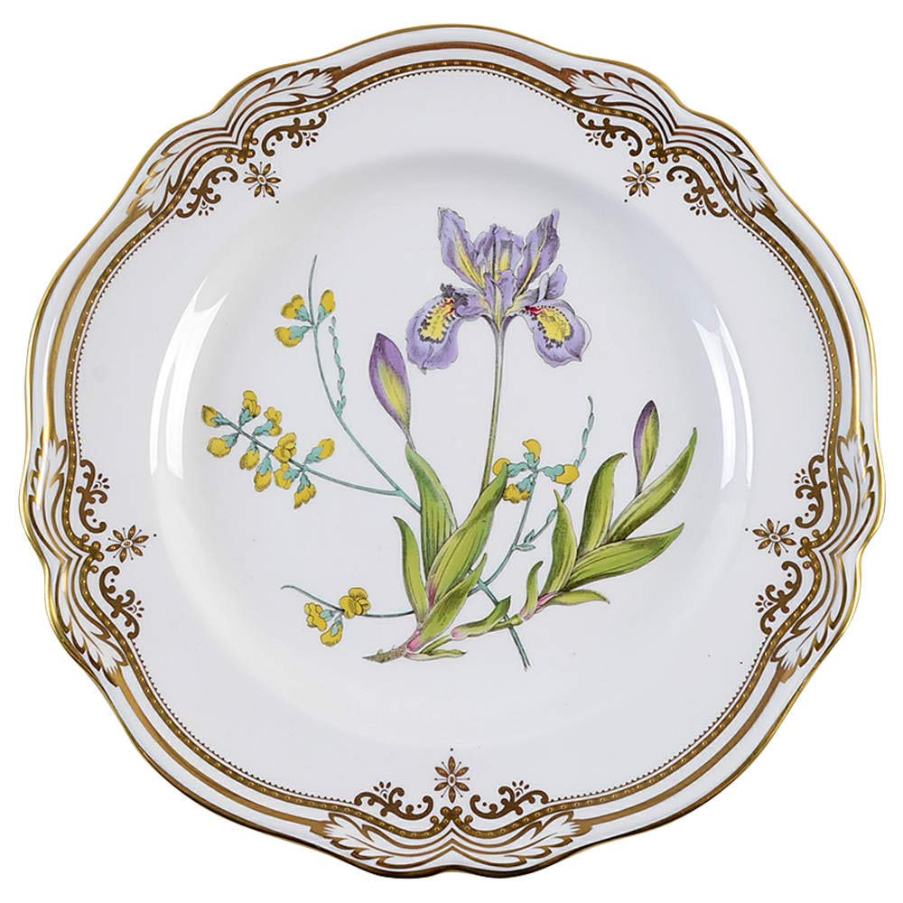 スポード　スタッフォードフラワー　チューリン スポード スタッフォードフラワー チューリン Spode-Stafford