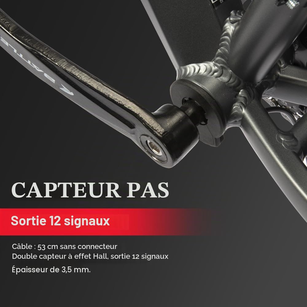 SEASON Ebike Kit de Conversion pour Vélo Électrique 26/27,5/28 Pouces Moteur Arrière 36V 250W 350W Roue Libre avec 36V Batterie 13Ah / 18Ah et Chargeur