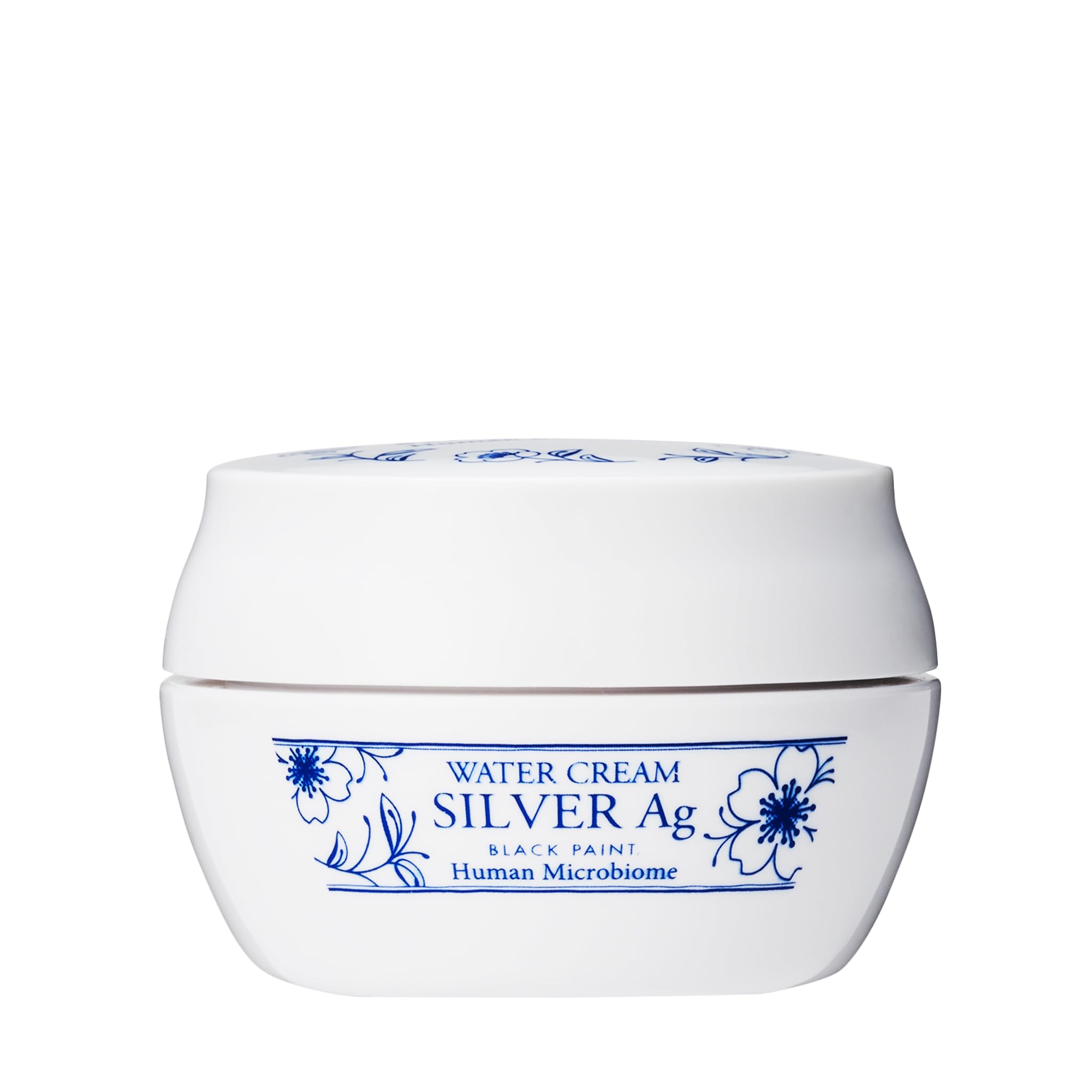 Amazon.co.jp: Black Paint (Moisturizing Cream) Water Cream, Silver