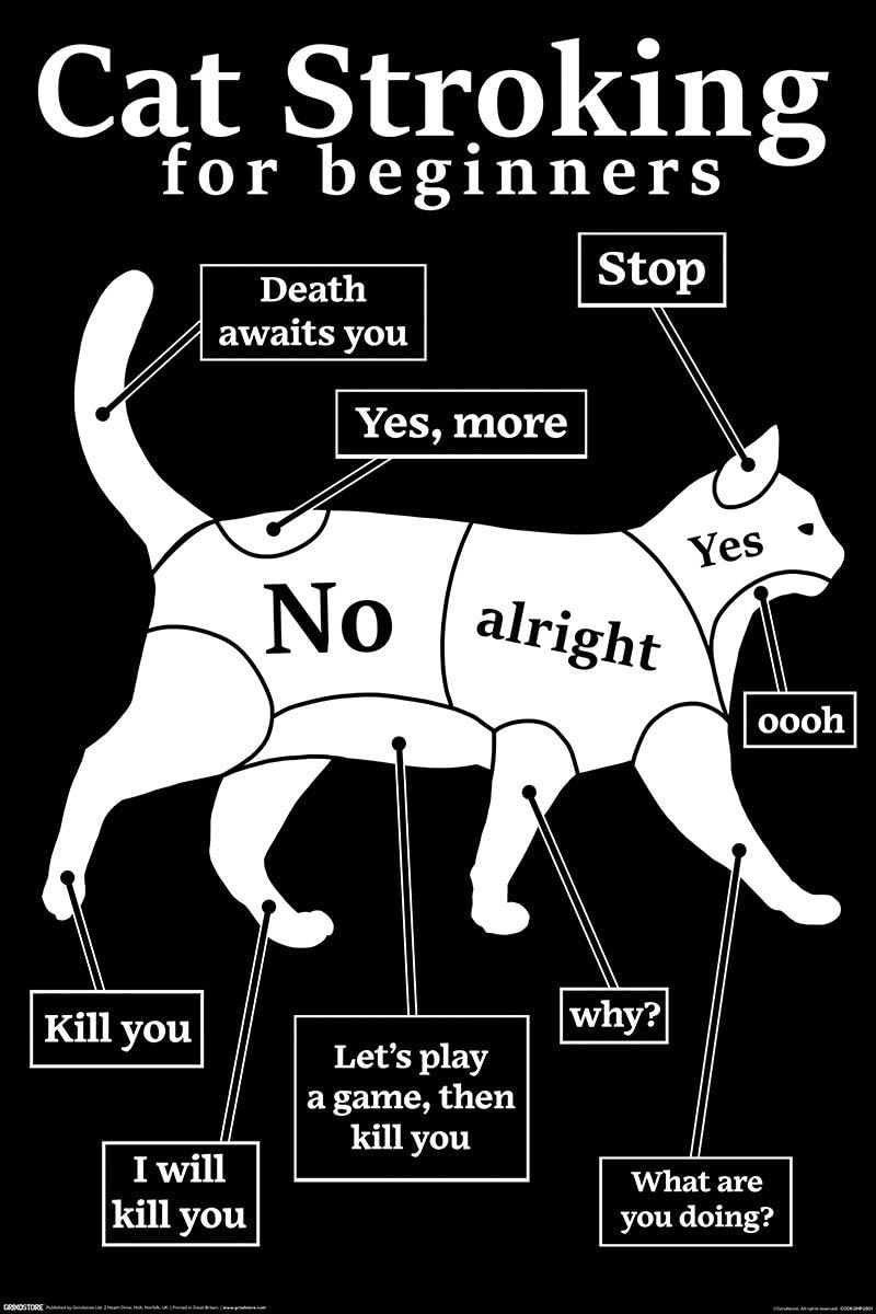 Grindstore Cat Stroking For Beginners Maxi Poster - Laminated