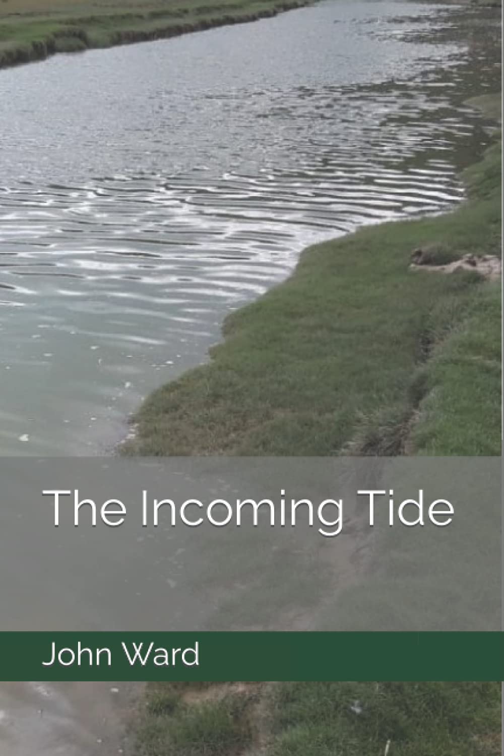 The Incoming Tide (The Winfrith novels)