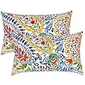 LVTXIII Set of 2 Patio Lumbar Pillows, 12”x20” Fade Resistant Outdoor Lumbar Pillow with Inners, Fluffy Decorative Garden Lumbar Cushions for Home Patio Coach Sofa Use, Paisley Multi