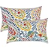 LVTXIII Set of 2 Patio Lumbar Pillows 12×20 Fade Resistant Outdoor Lumbar Pillow with Inners Fluffy Decorative Garden Lumbar Cushions for Home Patio Coach Sofa Use Paisley Multi