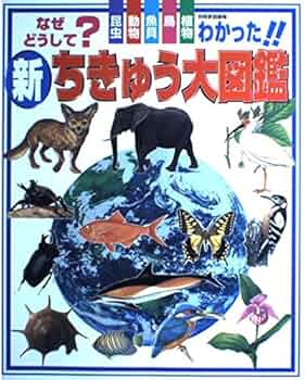 61AgOr-IwQL._AC_UF350, 61AgOr-IwQL._AC_UF350,