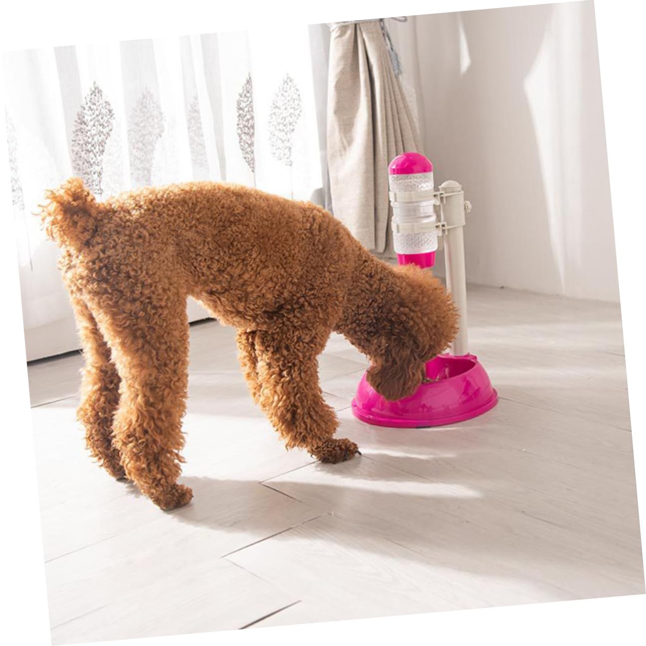Dispensador de Agua para Mascotas Automático Bebedero de 500 Ml Comedero Ajustable Base Antideslizante Material PP y PVC Transparente Apto para Perros y Gatos
