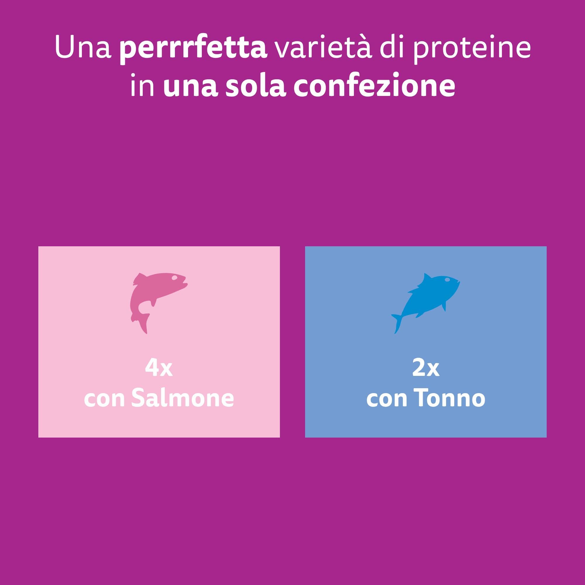 Whiskas Pranzetti Selezione di Pesce 1+ Adulto, Cibo Umido per Gatto, 12 Confezioni ognuna da 6 bustine x 50g (72 Pezzi in Totale)