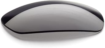 Smith Optics Elite Pivlock Echo Max Eyeshield Lens
