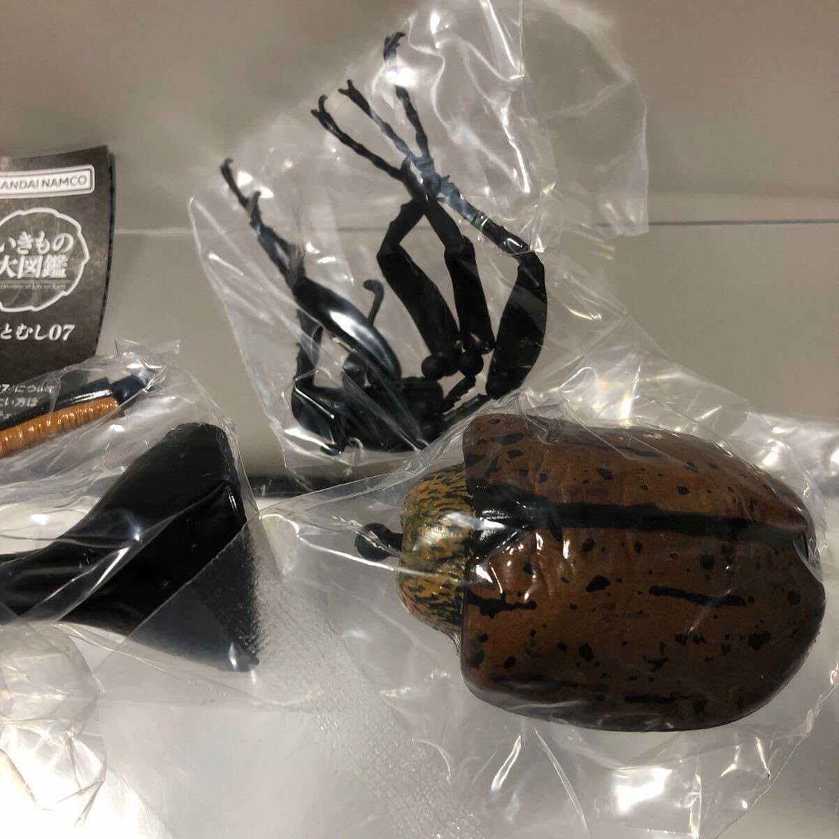 Amazon.co.jp: いきもの大図鑑かぶとむし07 ヘラクレス リッキー改