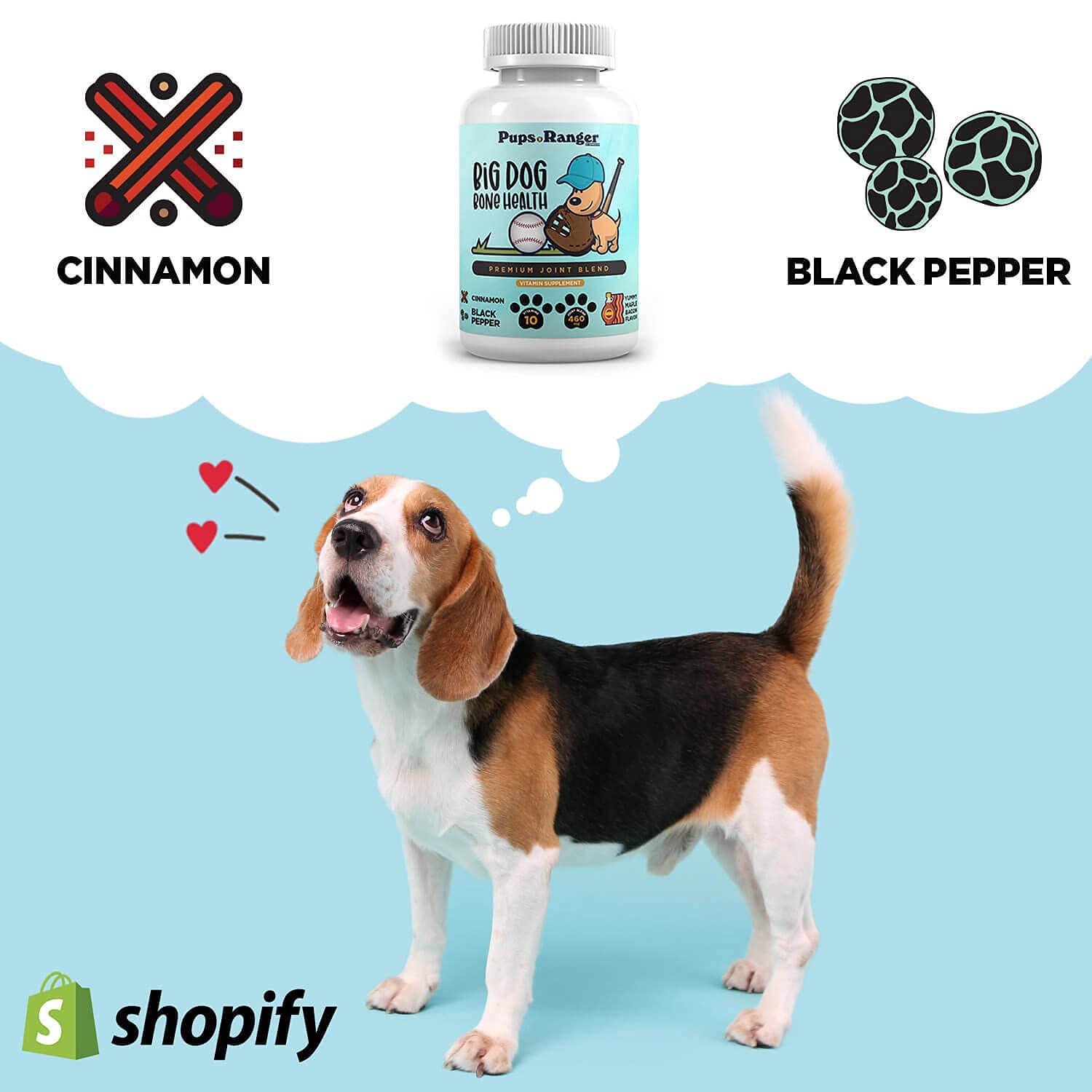 Are Bones Safe For Beagle Harrier Puppies