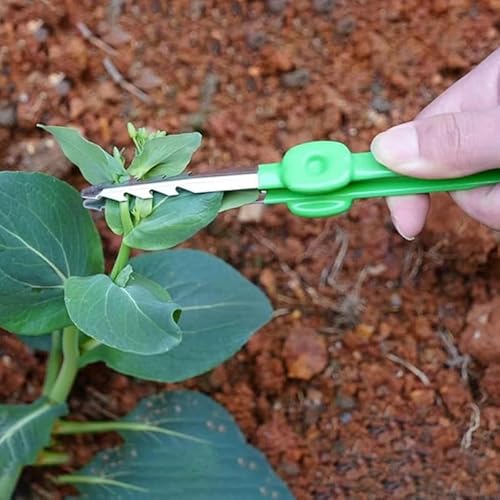 LOORGVEL Tragbare Gartenpinzette für Pflanzenpflege Multifunktionales Werkzeug für Gartenarbeiten Sukkulenten und Gemüseanbau Leicht und für Hobbygärtner und Naturerkundungen
