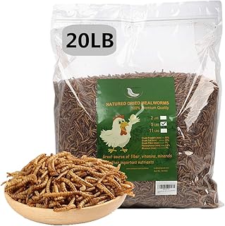 HANDPOINT 20 lbs Dried Mealworms, 100% Non-GMO Natural High-Protein,Treats for Chicken, Fish, Bird Food(20LB)