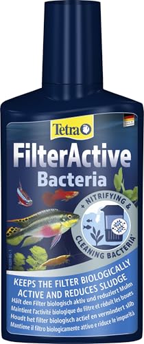 Tetra FilterActive Bacteria - 2in1 Mix aus lebenden Starterbakterien und schlammreduzierenden Reinigungsbakterien, hält den Filter biologisch aktiv und reduziert Mulm, 250 ml