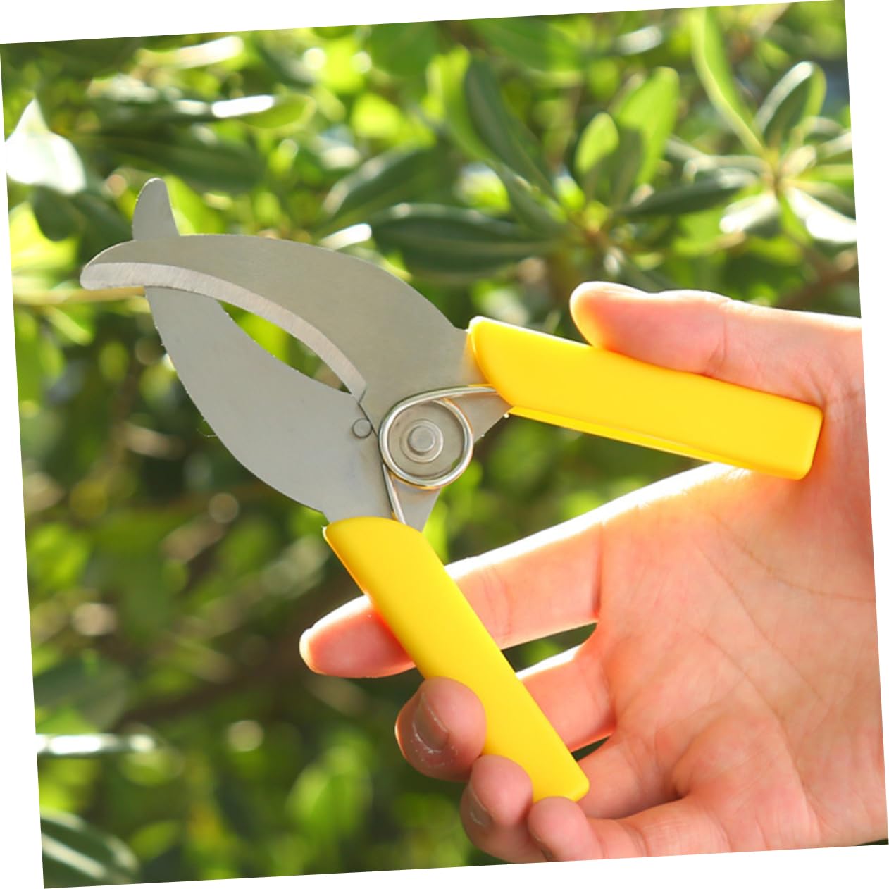 TOYANDONA 2 Set Cesoie Da Cintura Cingendo Strumento Per Togliere La Corteccia Attrezzo Manuale Per Cingere Alberi Da Frutto Potatori Manuali Da Giardino Plastica 2 Pezzi*2