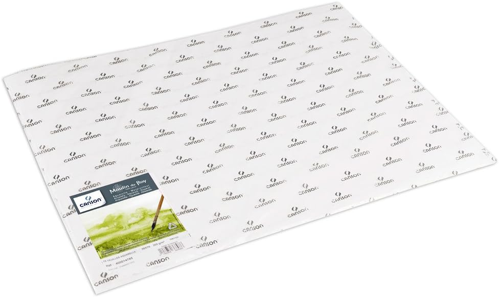 Moulin du Roy 400014785 Canson Watercolor Paper 22"X30" 10 Sheets, 22-x-30-Inch, White
