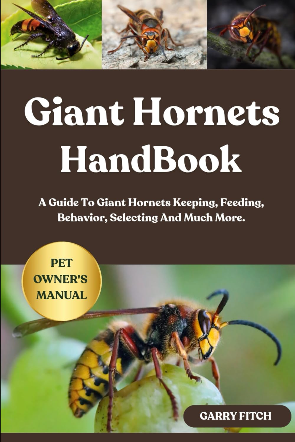 GIANT HORNETS HANDBOOK: A Guide To Giant Hornets Keeping, Feeding, Behavior, Selecting And Much More.