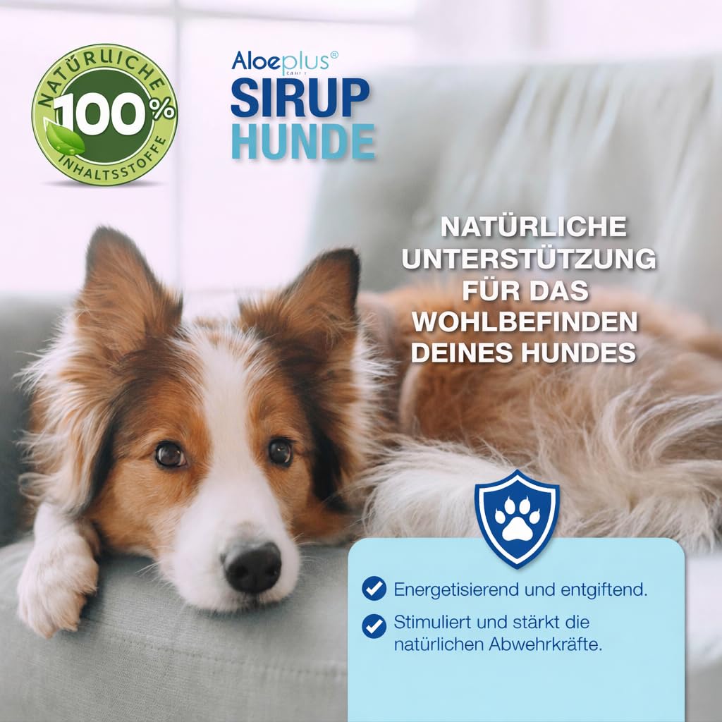 ALOEPLUS Hunde Sirup 250ml - Energetisches und Entgiftendes Ergänzungsfuttermittel mit Aloe Arborescens Bio, Stärkt die natürlichen Abwehrkräfte, ideal als Aufbaumittel für ältere Hunde und Welpen