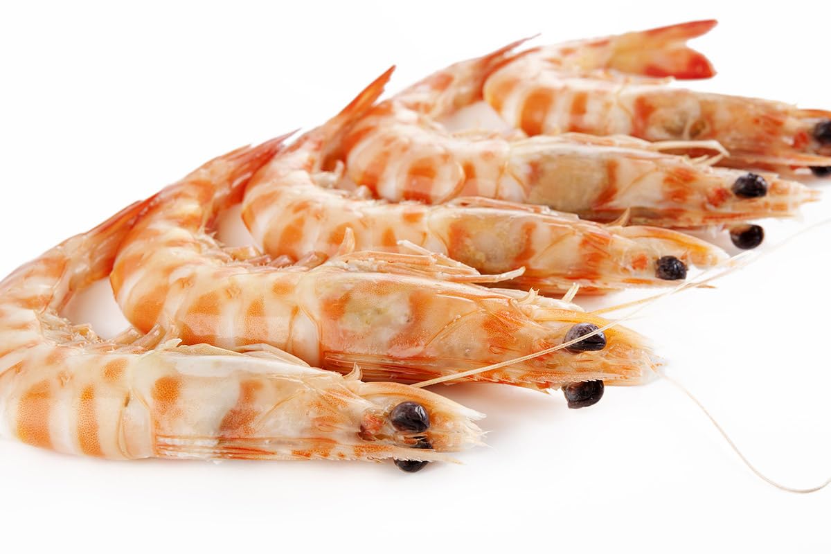 Gamba Blanca de Huelva - Pescadería Premium - 1 kg -Pescado y Marisco Fresco de Lonja (1 kg, Gamba Blanca) — view 7